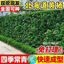 籱SͥԺGhʠļ಻~Bľ~S