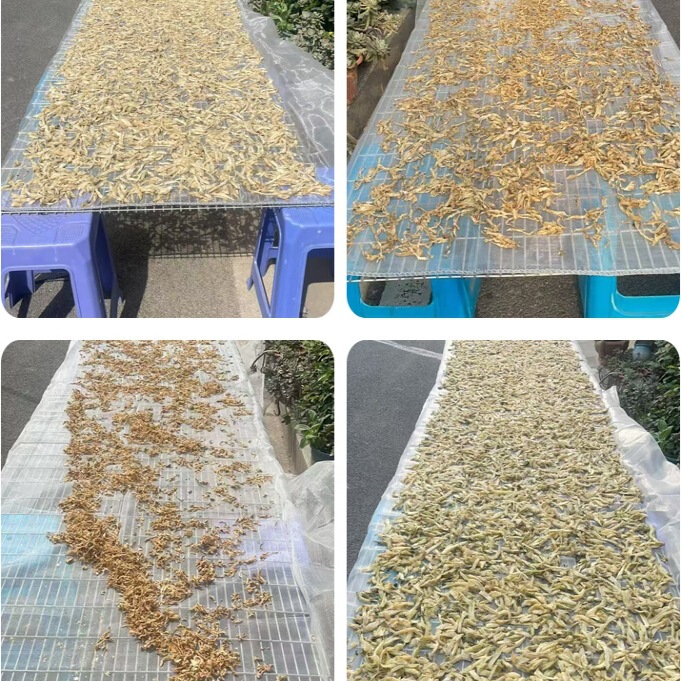 加厚尼龙网晒咸菜网晒干菜网晒萝卜网晒鱼干网晒辣椒网晒网其他|undefined