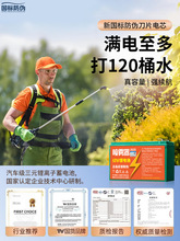 ���˷����늳�늄Ӈ��F��12V��늳ش�������ؓʽ�ƿ�r��