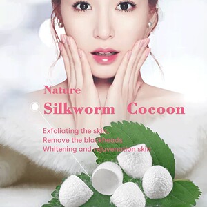 [桑蚕茧  桑茧  蚕茧  Silkworm Cocoon Ball]