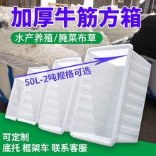塑料加厚50L-2吨牛筋方箱pe水产养殖箱白色食品级1000升牛筋方箱