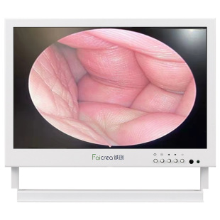 Lcd Monitor for Ear Cleaning, Medical Photography, Frozen Frame Endoscope Camera, Microscope Monitor, High-Definition Display