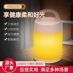 Ledナイトライトを携帯して充電します。寝室のベッドの上で寝ます。