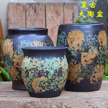 ����ͥԺ�͹��ֹ�����͸����⻨���̖�Gֲ�Ƶ��b����L�մ��չ�