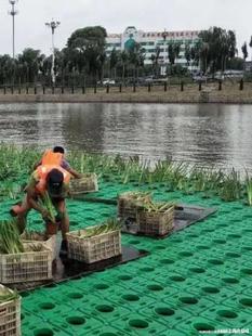 Floating Bed, Pool, Floating Island, Planting Flower Pot, Floating Fish Pond, Fish Pond, Soilless Cultivation, Ecological Planting, Surfboard