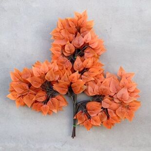 �ٗ����~�Ř��~�y���~�ט���~â��֦�~�٘�֦�@ˇ�bG���l