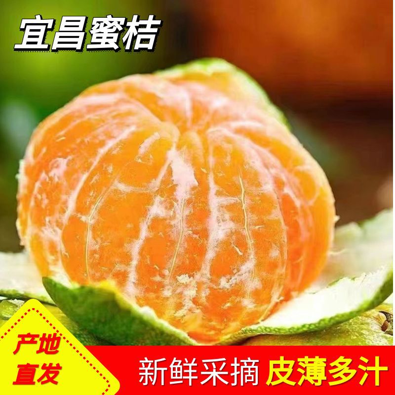 宜昌无籽蜜桔8分甜青皮桔子果园现摘新鲜多汁薄皮橘水果整箱批发