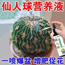 仙人球营养液仙人掌营养液多浆植物通用型室内家用养花盆栽营养液