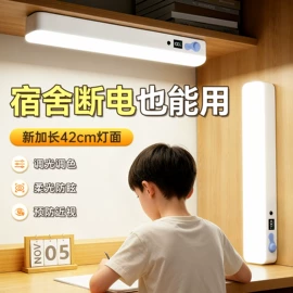 吸顶灯;风扇灯;小夜灯