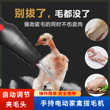 ��ë���u������늄Ӽ��ݰ�ë�C��ë���u���Zë��ë��ȥ�uë늄�