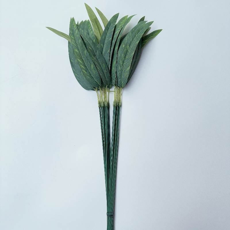 단일 버드나무 잎