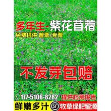 �ϻ���ޣ�N�Ѷ��������ݷN���ļ������Bֳι��ţ�u���Z�~�G�ʷN��