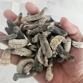 其他水产加工;海参;鱼胶/花胶