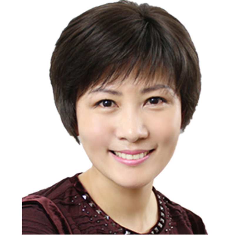 女短发中老年假发 送妈妈短发 自然蓬松老年人奶奶化纤高温丝假发|undefined