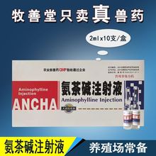 兽用氨茶碱注射液犬病客串康呼吸道咳嗽疾病雾化气管炎氨茶碱针剂