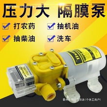 ʳƷ12vĤϴ܇óͱˮóˮó2424V