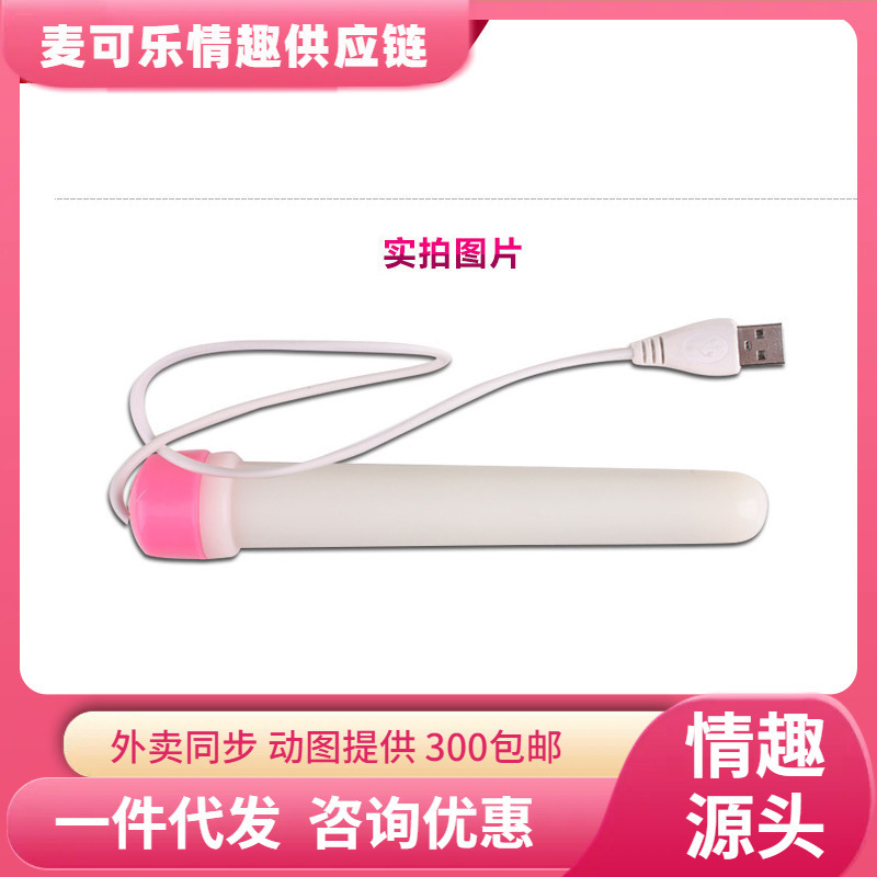 Bomba de goma USB bala varilla de calentamiento taza de avión molde invertido accesorios regalos muñecas sexuales para hombres en 500 / caja