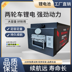 磷酸铁锂电池48V72v两轮车电动车锂电池60v外卖快递大容量电瓶
