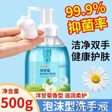 泡沫型洗手液装家用消毒花朵泡泡商用儿童小瓶装