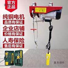 微型电动葫芦220V家用小型1吨卷扬提升机吊具装修吊砖升降麦太保