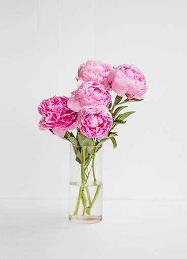 Nordic Poster Plant Peony Flower Canvas Painting Scandinavian Picture Living Room Bedroom Room Decorative Painting Core