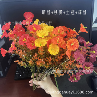 ���R�dTEMU�羳���滨�ȼ������_�m��ţ�������c�b���ɫ������