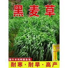 ߮aݷNѶͺBֳNuţ~ݷNļ