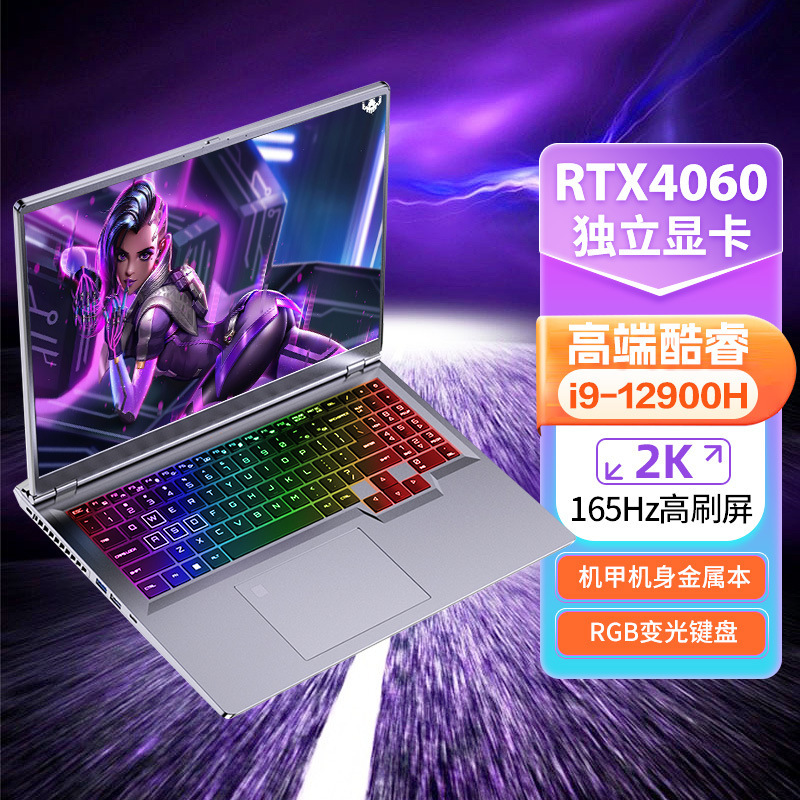 13Th Generation Core I9+Rtx4060 Independent High Performance Gaming Notebook, Thin and Light E-Sports Live Broadcast Business Laptop