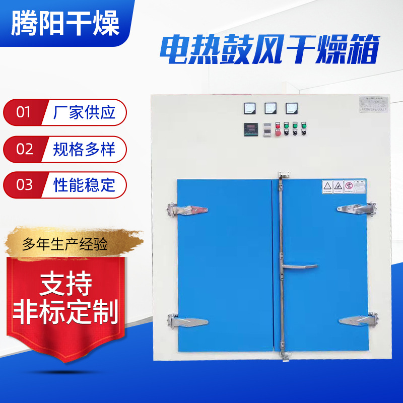厂家供应TYDR电热鼓风加热箱不锈钢立式电热鼓风干燥箱电热干燥箱