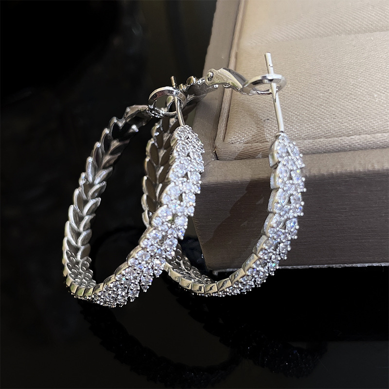 Mode Cercle Le Cuivre Incruster Zircon Des Boucles D'oreilles 1 Paire display picture 9