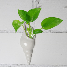 北欧创意绿植物盆栽悬挂式水培花盆白色海螺陶瓷麻绳吊盆壁挂装饰