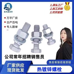光起電ボルト溶融亜鉛メッキ光起電サポートボルト電力鉄塔六角ボルト溶融亜鉛メッキ外六角ボルト