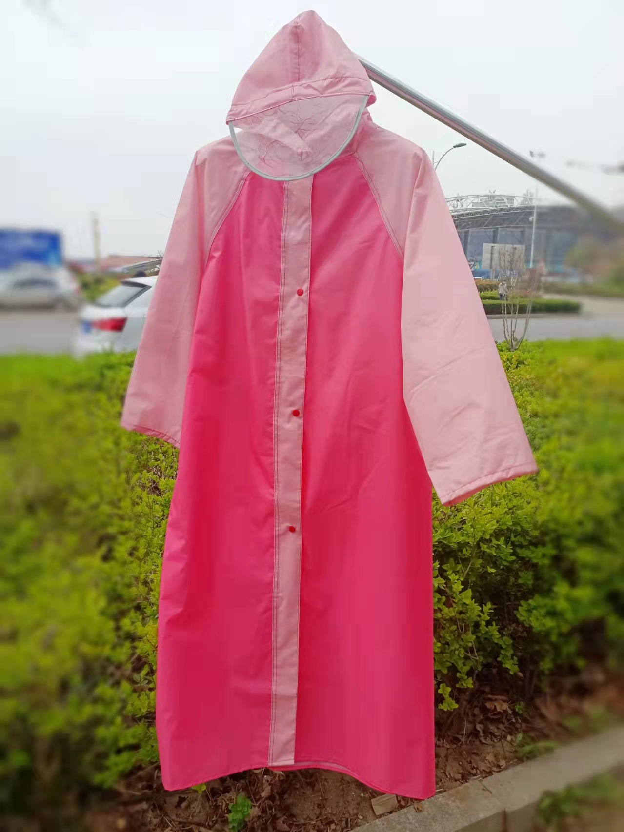 ddb1daa7-8e53-4267-a20c-ebcd1e