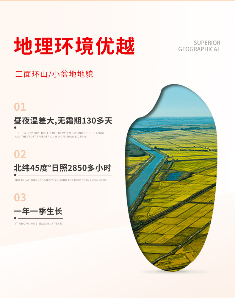 红袋子_04.jpg