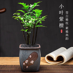 С�~��̴�辰�����ļ������Ϙ�ֲ���҃ȿ͏d�k���Һ��B�׻�Gֲ