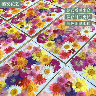 Carefully Selected Embossed Dried Flowers DIY Material Package Mobile Phone Case Jewelry Glue Dried Flowers Embossed Decals Photo Frame Art Specimen