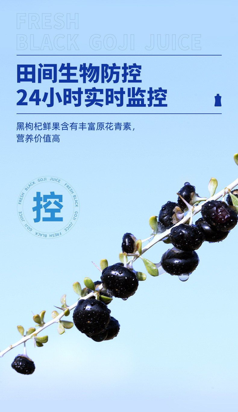 Black Goji Berry Juice Concentrate 30ml Sachets Hei Gou Qi Yuan Jiang Herbal Drink quality and texture