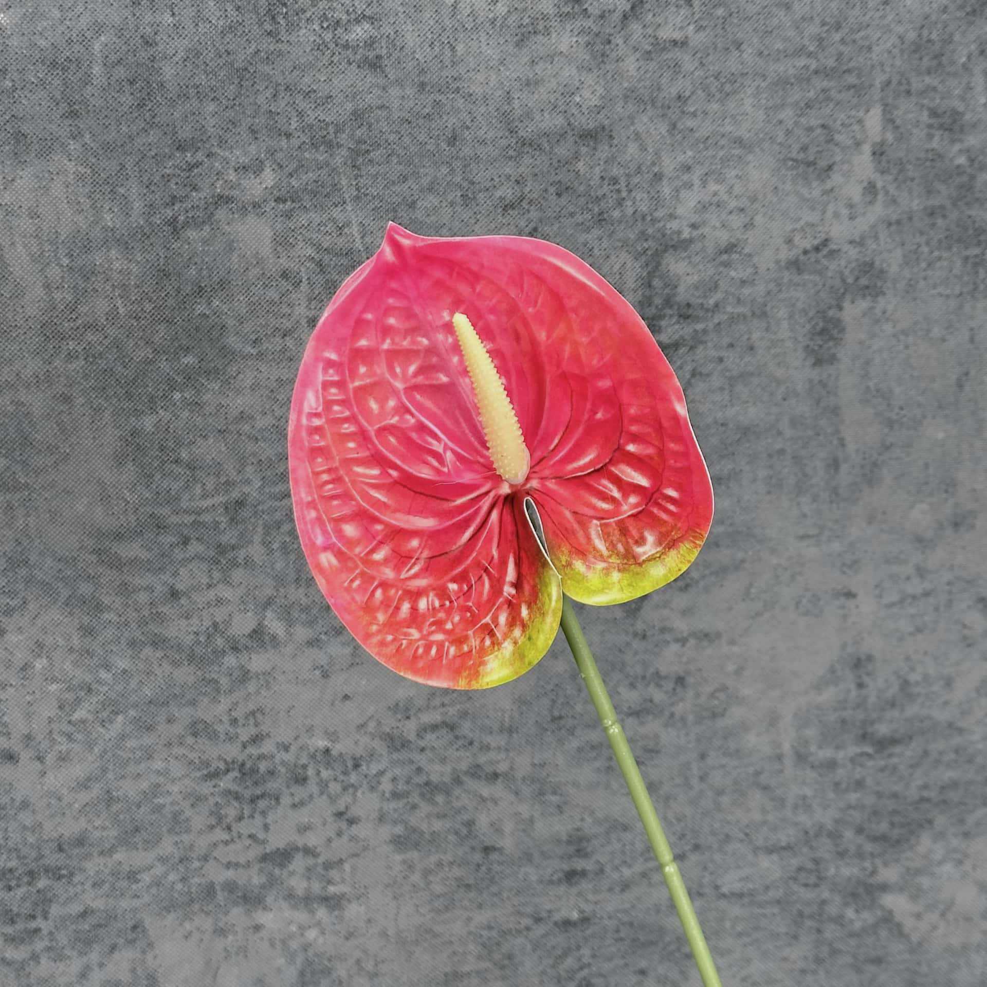 Decoración de Escenarios de Boda con Anturios Simulados, Decoración del Hogar, Accesorios de Fotografía, Adornos de Flores Artificiales en 3D para Venta al por Mayor