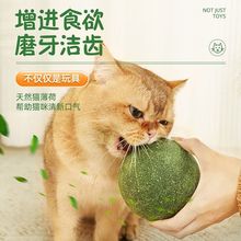 猫咪玩具猫薄荷球超大自嗨解闷神器磨牙洁齿耐咬虫瘿果小幼猫慧熊