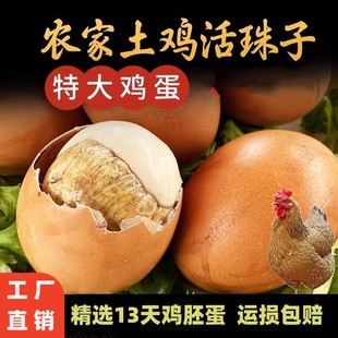 �t�������ӆ΂�50-60g�����_����ʳ13��������u����ʳ�u���u�ߵ�