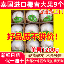 香水椰青椰子整箱9个装当季新鲜奶香大果900g源工厂批发跨境供应
