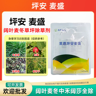 �R��ƺ����ʢ�[���������[�m��ţ���С�w���㸽�Ӱ����~�ݳ��݄�