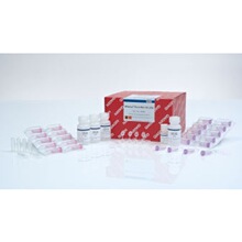 74904 QIAGEN ���� RNeasy Plant Mini Kit (50)��RNA�Լ�
