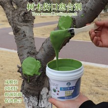 ֲ��������τ��п����������޽ӉT�a����ľ�TĤ���辰����