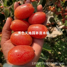 ���̹����������̖�޽��箔��Y���ش�N�������ϱ����ļ��Nֲ