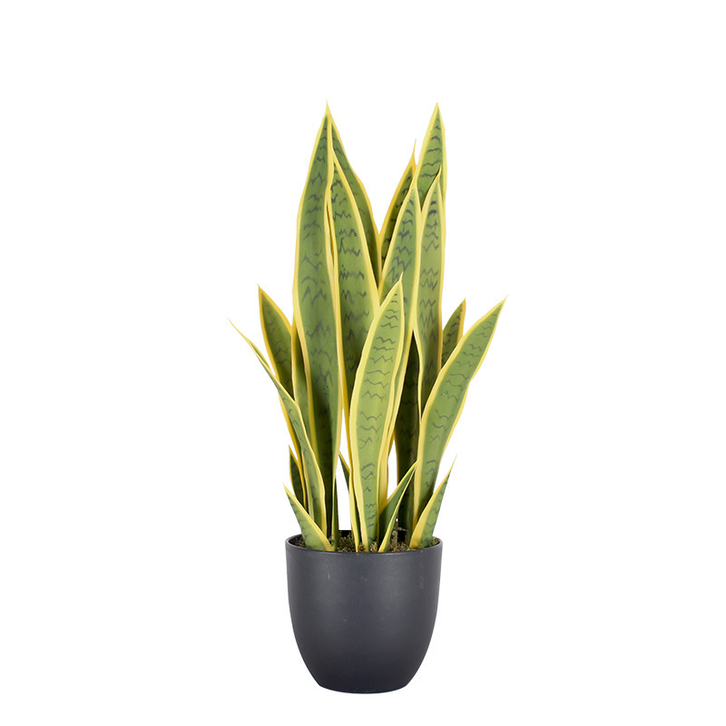 Simulación de borde amarillo tigre Pilan planta en maceta decoración decoración simulación lengua materna exterior Phnom Penh planta verde de hoja alta con maceta tigre Pilan image 7