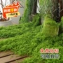 仿生仿真跨境丝线草皮