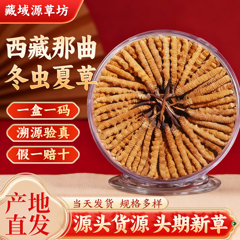 西藏那曲冬虫夏草 2025头期高海拔干虫草产地直发商用可打粉断草