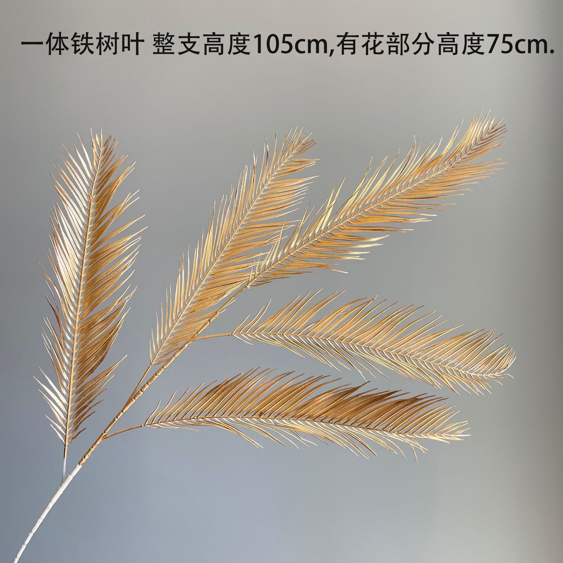 SKU05_颜色_一体铁树叶