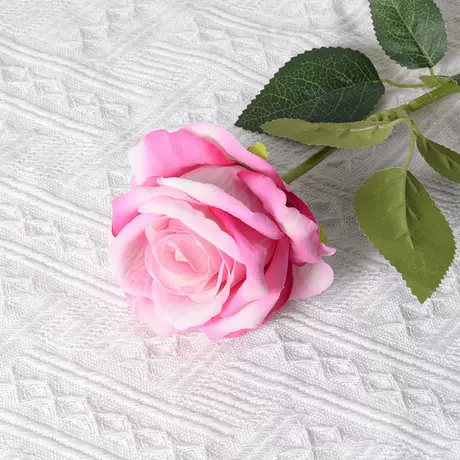Large velvet rose dark pink